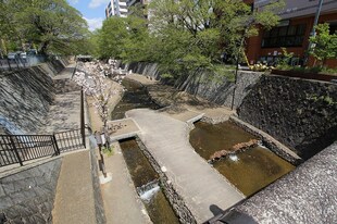 マッケンジー東堀川の物件外観写真